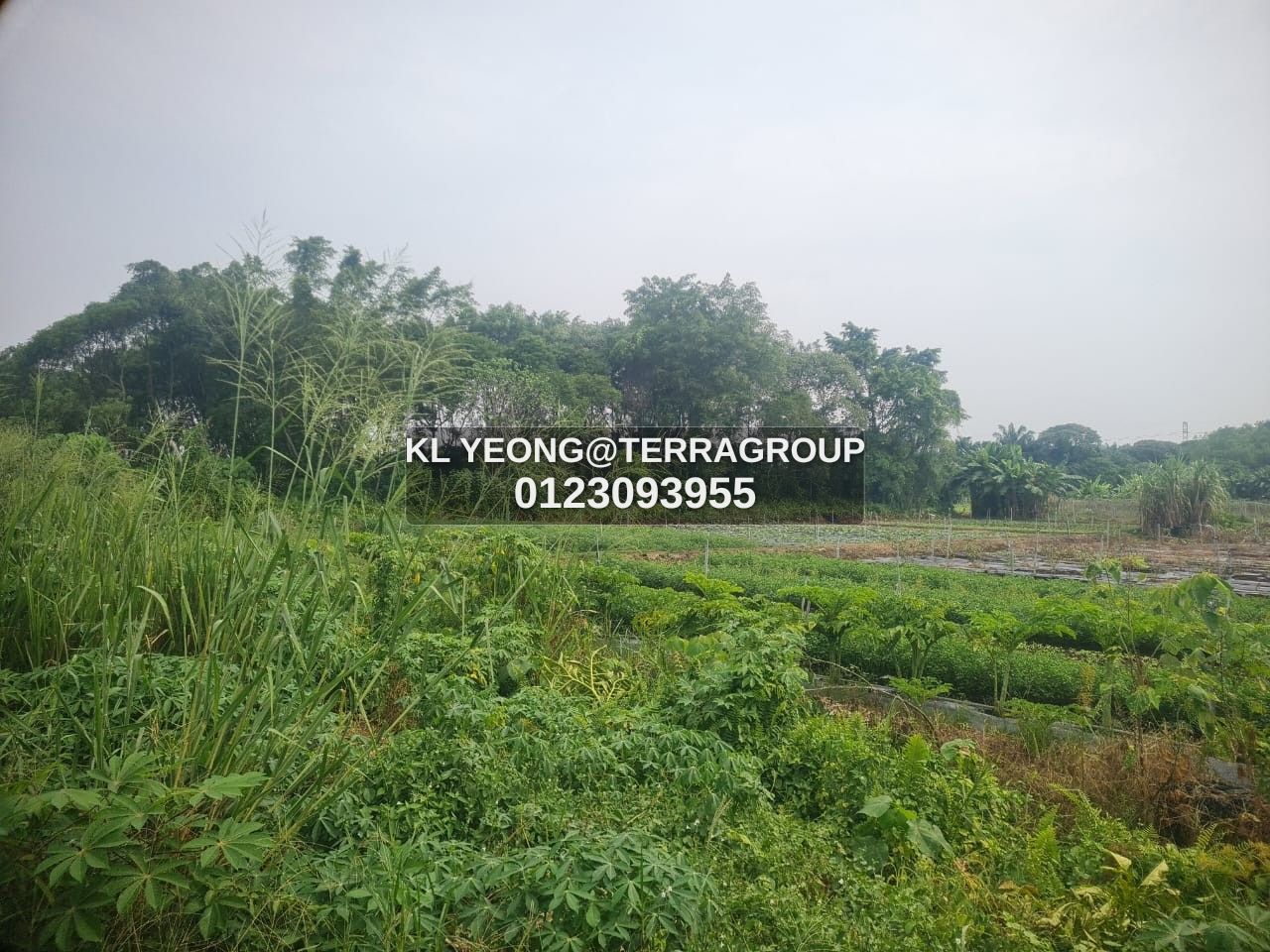 Johan Setia zoned commercial for sale