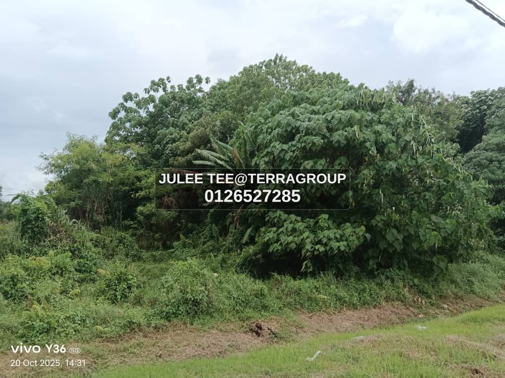 Industrial Land Kemuning LA: 14Ksf Rent: RM0.80 image 2