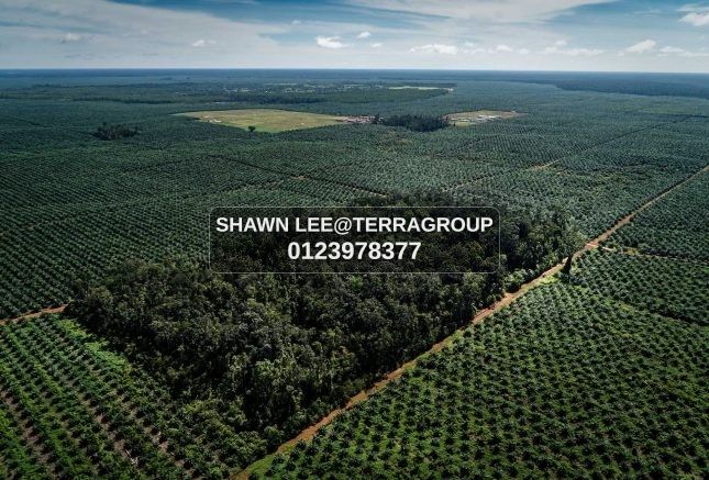 WEST PORT - INDUSTRIAL LAND L:4.4AC (RENT) image 3