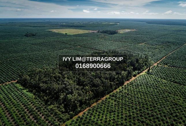 NORTH PORT - INDUSTRIAL LAND L:5.7AC (RENT) thumbnail 5