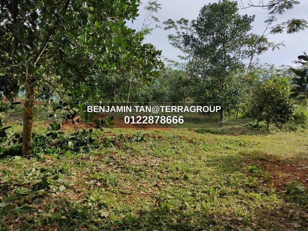 Agriculture land for rent in Balakong