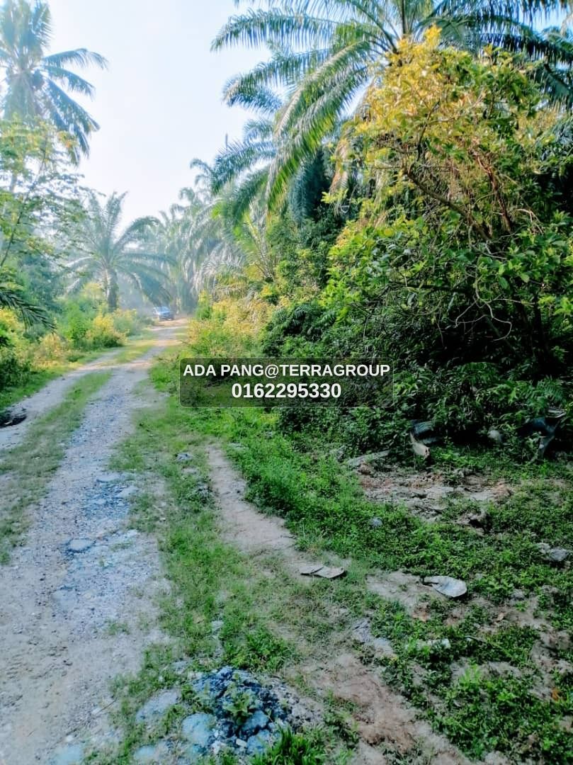 Kapar Kampung Perepat 1 acre Leasehold RM500k