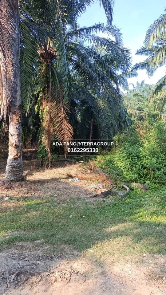 Kapar Kampung Perepat 1 acre Leasehold RM500k image 3